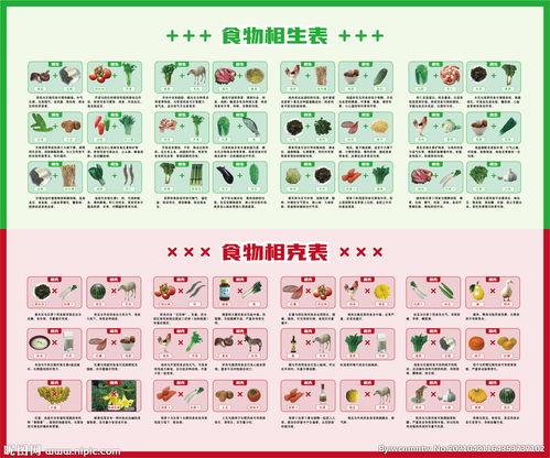 娱乐圈吃瓜元素表图片